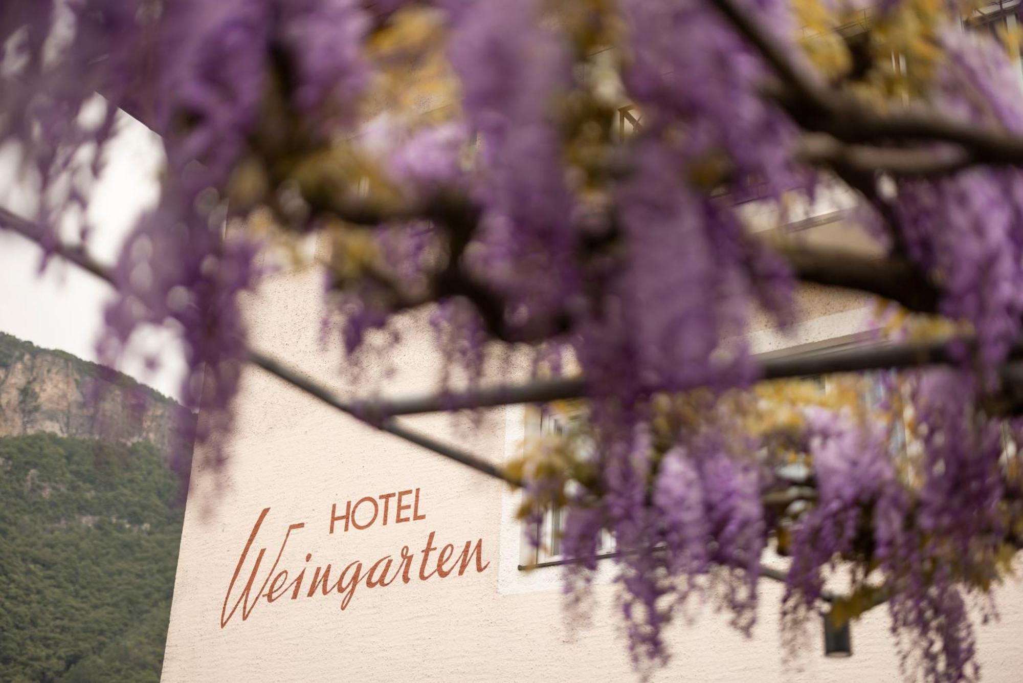 Weingarten Terlan - Rooms & Breakfast Luaran gambar